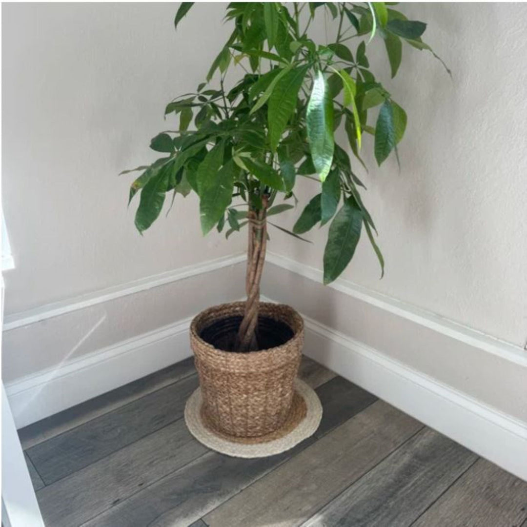 Customer review photo featuring round handmade jute placemats in home decor setting